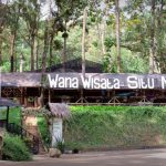 Destinasi Wisata Banjar dengan Pemandangan Luar Biasa Situ Mustika